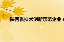 陕西省技术创新示范企业（陕西省建设新技术推广中心）