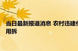 当日最新报道消息 农村违建什么情况下可以不拆除 这3种情况不用拆