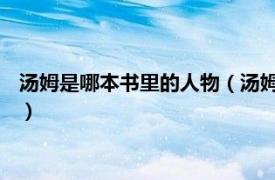 汤姆是哪本书里的人物（汤姆克鲁斯 安德鲁莫顿所著的人物传记）