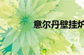 意尔丹壁挂炉价格（意尔丹）