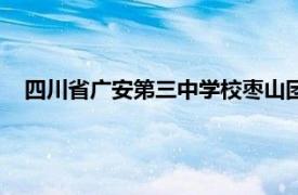 四川省广安第三中学校枣山团支部（四川省广安第三中学校）