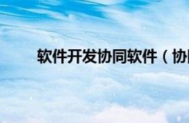 软件开发协同软件（协同软件集团股份有限公司）