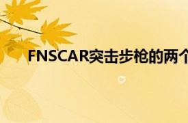 FNSCAR突击步枪的两个型号（FNSCAR突击步枪）