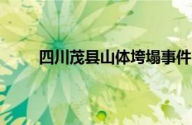 四川茂县山体垮塌事件（624茂县山体坍塌事件）