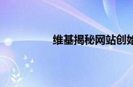 维基揭秘网站创始人（维基揭秘网站）