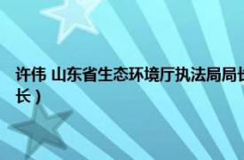 许伟 山东省生态环境厅执法局局长是谁（许伟 山东省生态环境厅执法局局长）