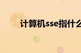 计算机sse指什么（ss 计算机术语）