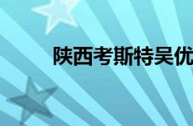 陕西考斯特吴优电子商务有限公司