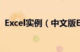 Excel实例（中文版Excel2007实例与操作）