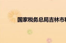 国家税务总局吉林市税务局第一税务分局级别