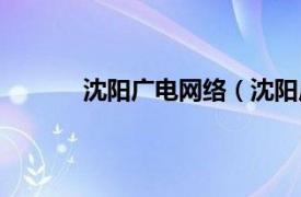 沈阳广电网络（沈阳广电传媒集团有限公司）