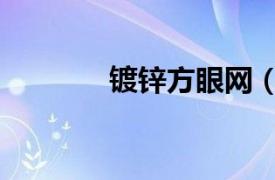 镀锌方眼网（不锈钢方眼网）