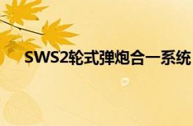 SWS2轮式弹炮合一系统（SWS2弹炮合一防空系统）