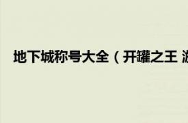 地下城称号大全（开罐之王 游戏《地下城与勇士》中的称号）