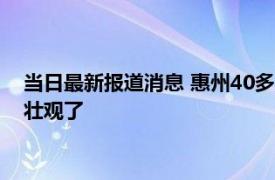 当日最新报道消息 惠州40多头猪大闹高速 “捉猪大战”场面太壮观了