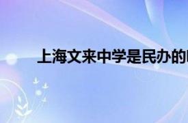 上海文来中学是民办的吗（上海市民办文来中学）