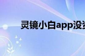 灵镜小白app没资源（灵镜小白1s）