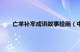 亡羊补牢成语故事绘画（中国成语故事绘本：亡羊补牢）