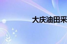 大庆油田采油工程研究院