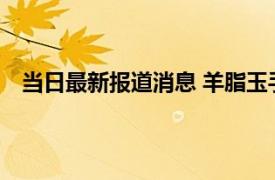 当日最新报道消息 羊脂玉手镯怎么保养才亮 方法教会你