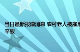 当日最新报道消息 农村老人被雇用下田干活 每天80元工资的背后是无奈和辛酸