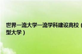 世界一流大学一流学科建设高校（世界一流大学 原创基础理论人才的创新型大学）