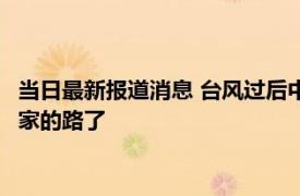 当日最新报道消息 台风过后中学操场上游来一条鱼 迷路找不到回家的路了