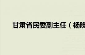 甘肃省民委副主任（杨晓波 民进甘肃省委会副主委）