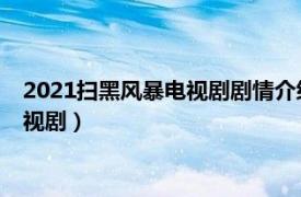 2021扫黑风暴电视剧剧情介绍（扫黑风暴 2021年五百执导的电视剧）