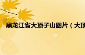 黑龙江省大顶子山图片（大顶子山 黑龙江省穆棱市大顶子山）