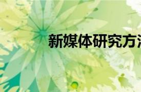 新媒体研究方法（新媒体研究）