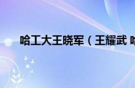 哈工大王晓军（王耀武 哈尔滨工业大学教授、博导）