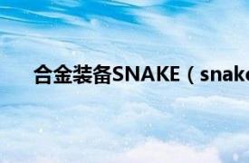 合金装备SNAKE（snake 游戏《合金装备》的角色）