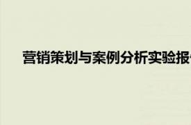 营销策划与案例分析实验报告总结（营销策划与案例分析）