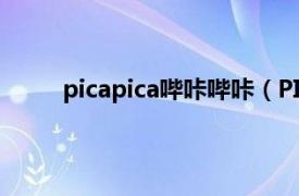 picapica哔咔哔咔（PICA 早期的手机软件皮咔）