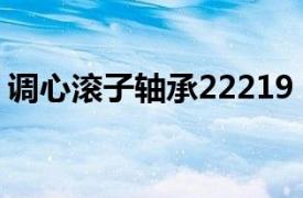 调心滚子轴承22219（22205调心滚子轴承）