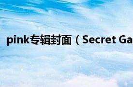 pink专辑封面（Secret Garden A Pink第三张迷你专辑）