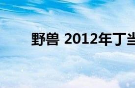 野兽 2012年丁当主唱的歌曲叫什么