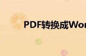 PDF转换成Word转换器 360宝库