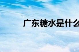 广东糖水是什么意思（广东糖水）