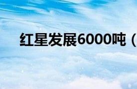 红星发展6000吨（红星发展[600367]）