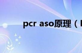 pcr aso原理（PCR-ASO探针法）