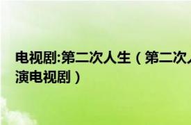 电视剧:第二次人生（第二次人生 2014年王媛可、芦芳生等人主演电视剧）