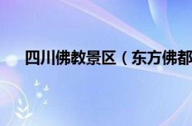 四川佛教景区（东方佛都 四川省国家4A级旅游景区）