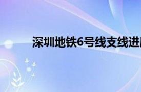 深圳地铁6号线支线进展（深圳地铁6号线支线）