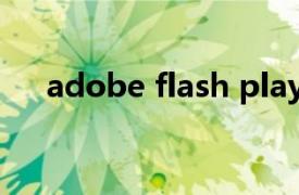 adobe flash player版本太旧怎么更新