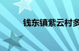 钱东镇紫云村多少人口（钱东镇）