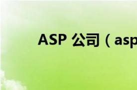 ASP 公司（asp 应用服务提供商）