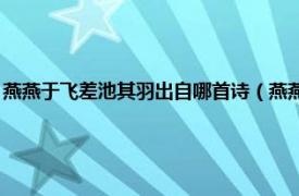 燕燕于飞差池其羽出自哪首诗（燕燕于飞差池其羽 《诗经邶风燕燕》诗句）