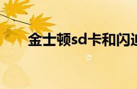 金士顿sd卡和闪迪sd卡（闪迪SD卡）